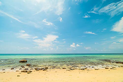 SCPmarts Beach Wall Sticker Paradise Island with Empty Beach Sea Beach Wall Paper Self Adhesive Vinyl Size 35 inch x 23 Inch (B08PFPF2V9) Amazon Price History, Amazon Price Tracker