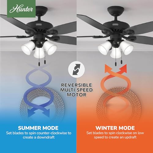 Image of Hunter Builder Plus, Indoor, Ceiling Fan, Pull Chain, 52 inch, Matte Black
