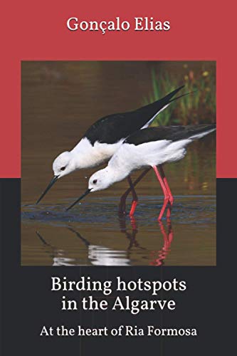 Birding hotspots in the Algarve: At the heart of Ria Formosa: 4