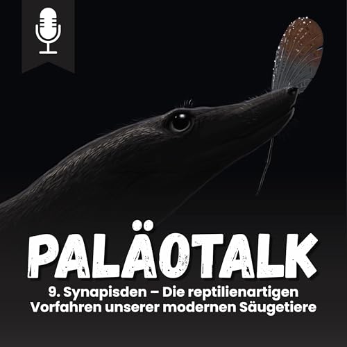 9. Synapisden &ndash; Die reptilienartigen Vorfahren unserer modernen S&auml;ugetiere