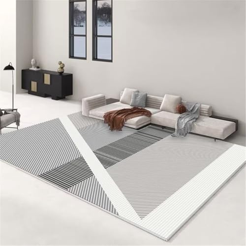 Tapis résistant à l'usure pour protéger le sol du salon des rayures