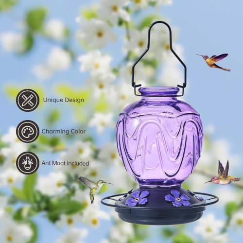 Image of 2 Pack Glass Hummingbird Feeder for Outdoors Hanging, 24Ozs Humming Bird Nectar Feeder w /Perch, 5 Flower Feeding Ports, Leak Proof Base and Hook for Outside Garden Backyard Decor, Purple