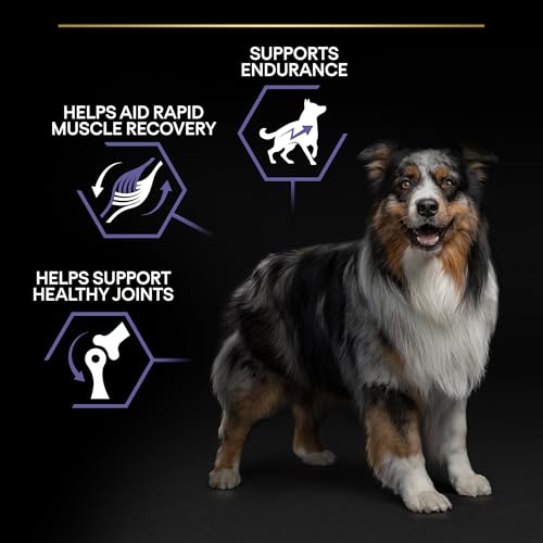 Pro Plan All Size Adult Hund Performance, Hundefutter trocken, reich an Huhn, 1er Pack (1 x 14 kg)