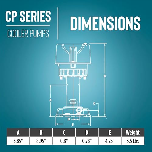 Image of Little Giant CP3-115, 1 /30 HP, 115V, 563 GPH Evaporative Cooler Pump | 15000 - 21000 CFM, 6' Cord w / plug, For evaporative coolers, swamp coolers, sales displays, labs and water baths, 542005