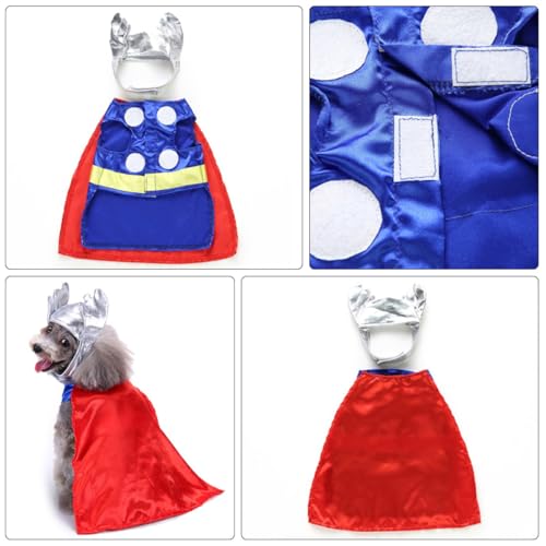 Disfraz divertido para perro tamaño mediano Halloween miniatura 7