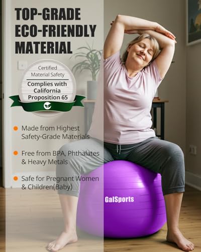 Image of GalSports Stability Ball for Core Training & Physical Therapy - Anti-Burst, Slip-Resistant Yoga Ball for Home Gym, Pilates, Balance & Posture Improvemen