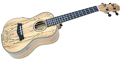 ysAzPLAYTECH (vCebN) / PUK403