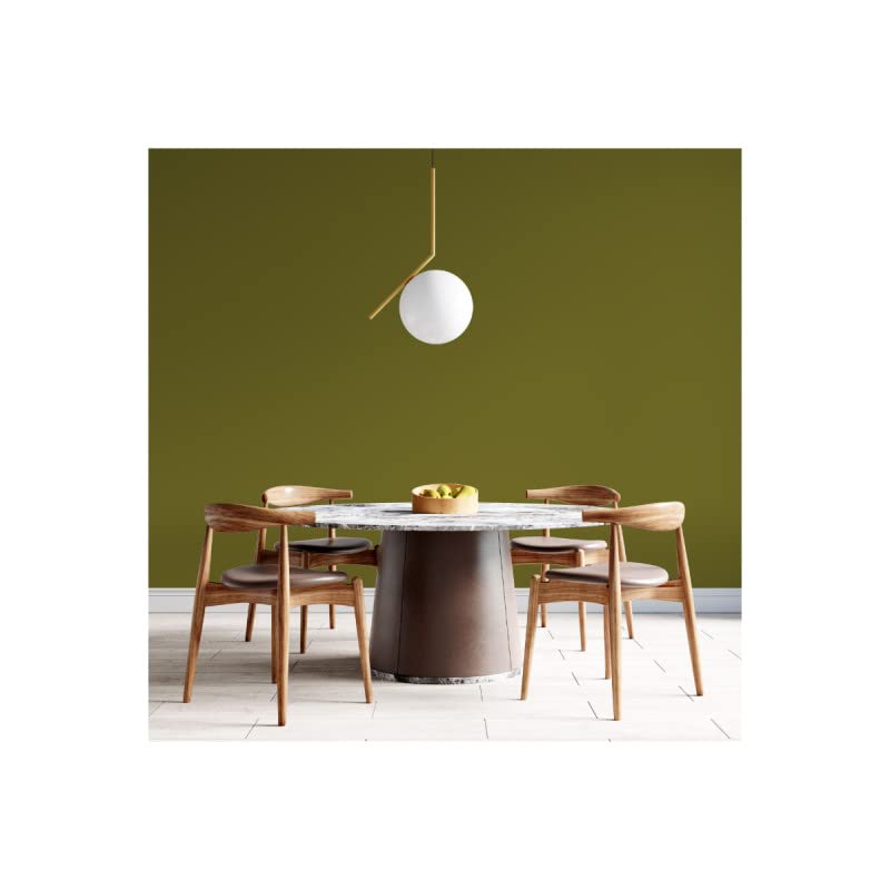 Peinture Vert Kaki Acrylique Brexit - Aspect Satin - Peinture Mur, Plafond, Boiserie & Balcon - Lessivable - Séchage En 30 min - COV A+ - Fabriquée En France - 5 L - BARBOUILLE