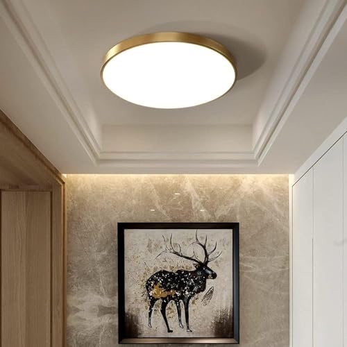Chandelier acrylique dimmable à intensité variable avec télécommande - 6