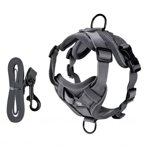 �L �n�[�l�X �����Ȃ� �h�E�� ���S �f���A�����ˏ� ��� ���S �L ���[�h �U���p �ʋC ���b�V�� �_�� �y�� ���_���� �� ���� �t�B�b�g ���K �X�g���X�t���[ ���^�L ���^�L ���Â� �O�o �O���[ S M L 3��ނ̐��@ ? (M)