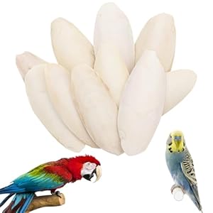 10 Stück 8-11 cm Sepiaschalen, Sepiaschalen für Schildkröten, handgemachte Tintenfischschalen geeignet zur Kalziumversorgung für Vögel, Schildkröten und Reptilien als Haustiere.