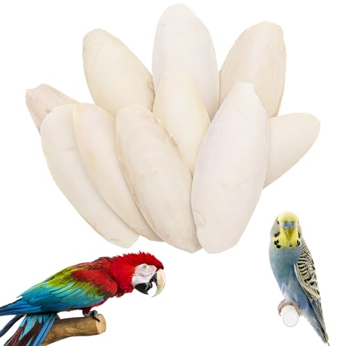 10 Stück 8-11 cm Sepiaschalen, Sepiaschalen für Schildkröten, handgemachte Tintenfischschalen geeignet zur Kalziumversorgung für Vögel, Schildkröten und Reptilien als Haustiere.