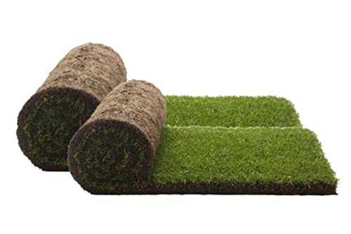 PetGround, Gazon 100% Naturel, Recharge Pack, Ecologique, Tapis olfactif, Inodore, Taille XXL (80x80cm)