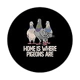 Zoom IMG-2 casa dove i piccioni sono Zoom IMG-2 casa dove i piccioni sono