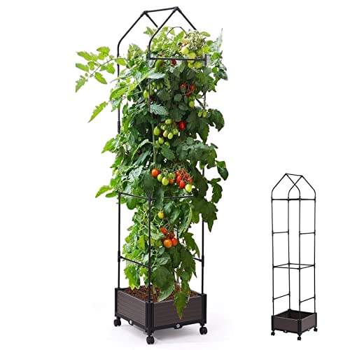 Set 10 Sostegni Tutori a Spirale per Piante Pomodori 180 cm in Acciaio Agrati