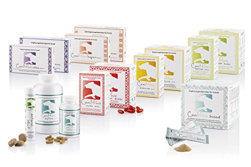 CaniMove Motion Maxi - 2 Dosen Gelenktabletten für große Hunde, bei Osteoarthritis (Arthrose) BZW. Sehnen- und Bänderproblemen jeglicher Art, mit MSM, Hyaluronsäure, Grünlippmuschel, Teufelskralle