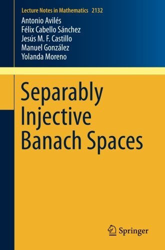 Separably Injective Banach Spaces (Lecture Notes in Mathematics Book 2132)