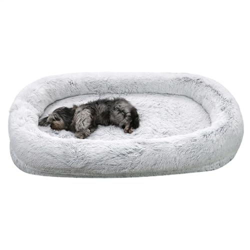 Tapis de couchage doux et confortable pour chiot dans le salon