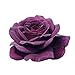 Purple Eden®, rosaio vivo Rose Barni®, rosa viola scuro, pianta cespugliosa e compatta, profumata, adatta alla coltivazione in vaso, resistente ai parassiti, rifiorente fino autunno cod.72082