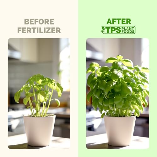Fertilizante líquido para albahaca 8 oz miniatura 3