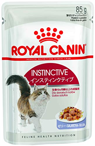 インスティンクティブ ウェットの商品画像