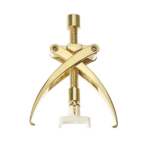 Soothfeel Ingrown Toenail Tools Thick Paronychia Corrector Correction Tool Pedicure Manicure Nail Nipper Gold