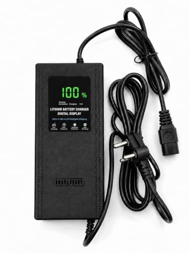 Image of Ebike 60V 6A Lithium Battery Charger | 12+06 Months Warranty | Alpha Brand, Output 67.2V | Fast Charging | Auto Cutoff Feature |Digital Display | Japanese Technology
