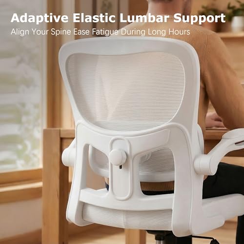 Image of AreShark Office Chair Ergonomic Desk Chairs with Adjustable Lumbar Support, High Back Breathable Mesh Chair with Wheels& Flip-up Armrests,Rolling Swivel Comfy Task Computer Chair for Home Work Gaming