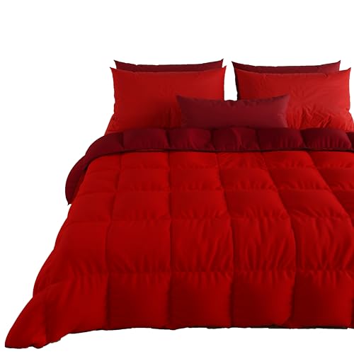PETTI Artigiani Italiani - Couette Chaude Hiver 240x260 Bicolore Bordeaux, Double Face, Couette pour lit 2 Personnes, en Microfibre 300g/m², Made in Italy