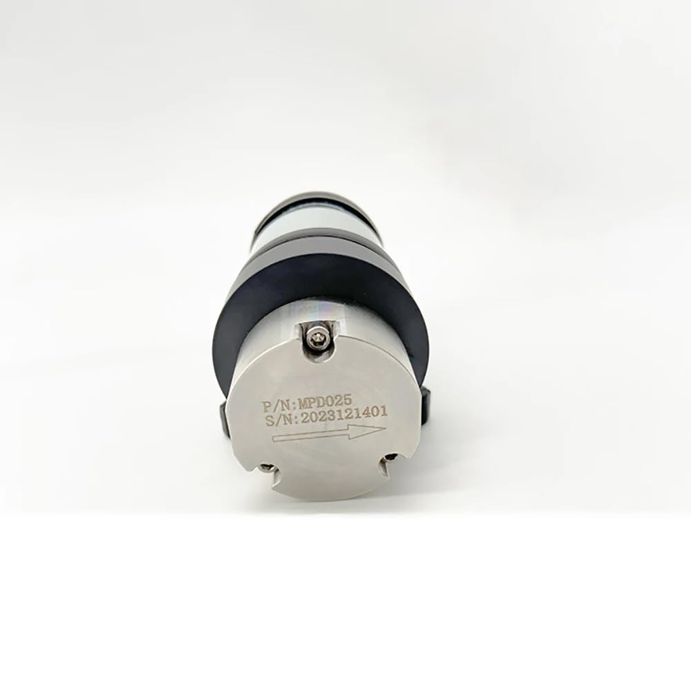 Micro Pompa a Ingranaggi CC 24V, Pompa Dosatrice Ad Alta Precisione in Acciaio Inossidabile per Uso Alimentare Resistente Alla Corrosione Pompa di Aspirazione Liquidi 0,65ML/R