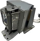 ジェーピーランプ リコー IPSiO PJ 交換用ランプ タイプ16 純正バルブ採用交換ランプ 対応機種:WX5460/X5460 用 512771 OBH 512771-OBH [並行輸入品]