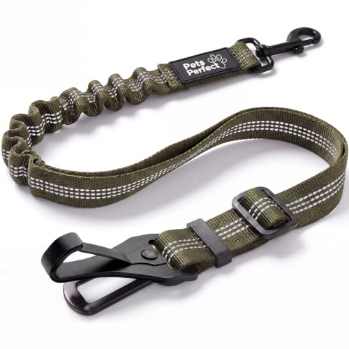 PETS PERFECT Anschnallgurt Hund Auto – Verstellbarer Hundegurt fürs Auto (58–75 cm) mit Metallverschluss & Stoßdämpfer – Hundeanschnaller für ISOFIX & Gurtschloss – Sicherheitsgurt Hund, Grün