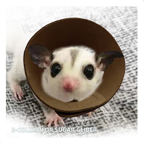 Image of E Collar for Sugar Gliders Small Pet Recovery Collar Protective Collar After Surgery for Sugar Glider