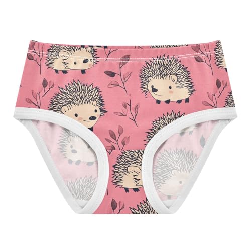 Wusikd Cute Hedgehogs Girls' Underwear Cotton Pink Girls Briefs Soft Toddler Underwear 2T