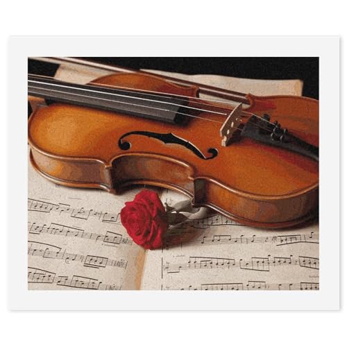 Peinture par numéros violon facile pour adultes débutants surmonter le stress quotidien