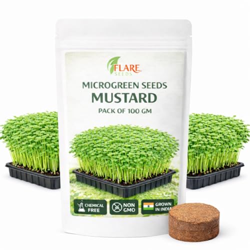 Image of Mustard Microgreen Seeds, Chemical-Free Non-GMO, 100 gm Pack with Coco Disk, Rich in Antioxidants and Nutrients, Grown in India