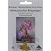 Produktbild TROPICA - Bonsai - Afrikanischer Blauregen (Bolusanthus speciosus) - 15 Samen - Zimmerbonsai