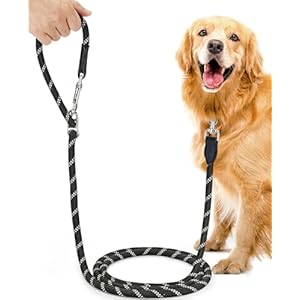 oneisall Dog Lead for Large and Medium Dogs (15-60 kg), 3 m Adjustable Double Lead and Free Handle Made of Nylon with Reflective through Extreme Force up to 200 kg