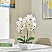 YSZL Large Artificial Potted Orchid Plant, Silk Flower Arrangement with Ceramics Vase, White