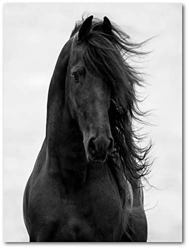 Courtside Market Maine 16"x20" Gallery-Wrapped Canvas Wall Art Riding, Horse Race, Majestic, White