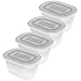 Rotho Freeze 4er-Set Gefrierdosen 0,75l mit Deckel, Kunststoff (PP) BPA-frei, transparent, 4 x 0,75l (15,5 x 11,0 x 13,4 cm)