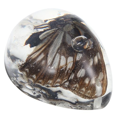 VILLFUL Amber Pendant Amber Stone Pendant Insect Amber Decor Amber Jewelry Butterfly Specimen Amber Ornament Amber Stone Decor Insect Amber Specimen Amber Collection Transparent Beeswax