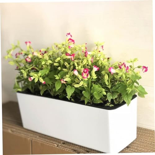 Jardinière réserve d'eau avec indicateur de niveau et drainage - 6