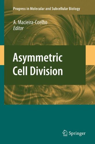 Asymmetric Cell Division (Progress in Molecular and Subcellular Biology Book 45)