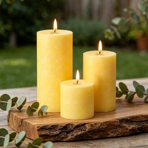 Citronella Candles Outdoor 3 Pack Lemongrass Scented Pillar Candles Indoor Outdoor Long Lasting Citronella Pillar Candle for Home Garden Patio Yard Party Wedding(2x2in 2x3in 2x4in)