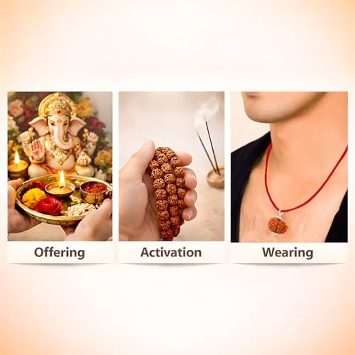 Image of Gemsmantra Energized 8 Mukhi Rudraksha Bead, Original Nepali Lab Certified, Natural Spiritual Accessory for Meditation and Spiritual Use for Men and Women (Regular Size)