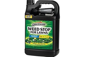 Spectracide Weed Stop for Lawns Dicamba RTU 1 Gal Kills Over 50 Weeds