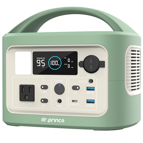 Portable Power Station, 300Wh Backup Lithium Battery,110V/300W Pure Sine Wave AC Outlet for Outdoors Camping Travel Hunting Blackout