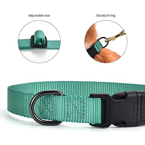 AUDWUD Thick Nylon Collar,Classic Adjustable Dog Collar in Multiple Colors,Suitable for Small,Medium and Large Dogs,4 Sizes - Image 3