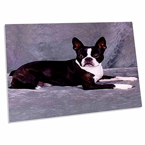 3dRose Dogs Boston Terrier - Pad de Escritorio Grande miniatura 1